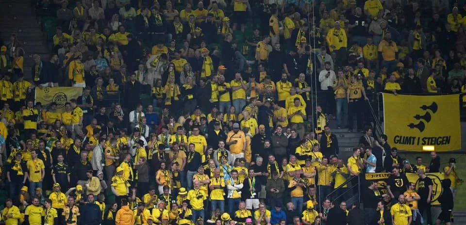 Bodo/Glimt fans cheering in the stadium