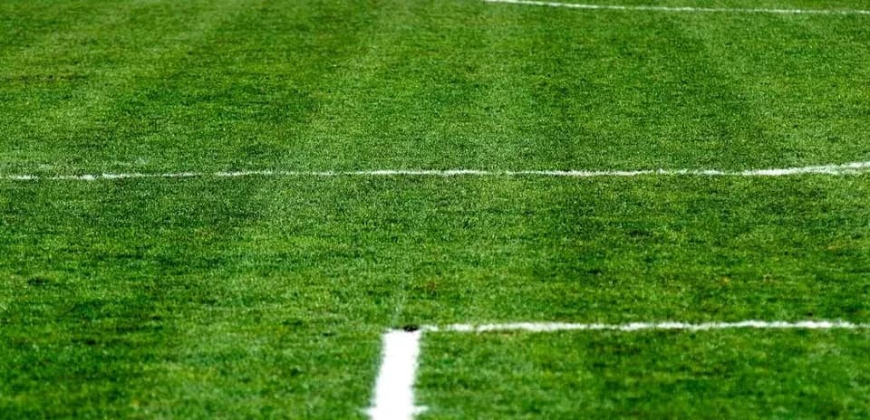 Close-up of a well-maintained soccer field