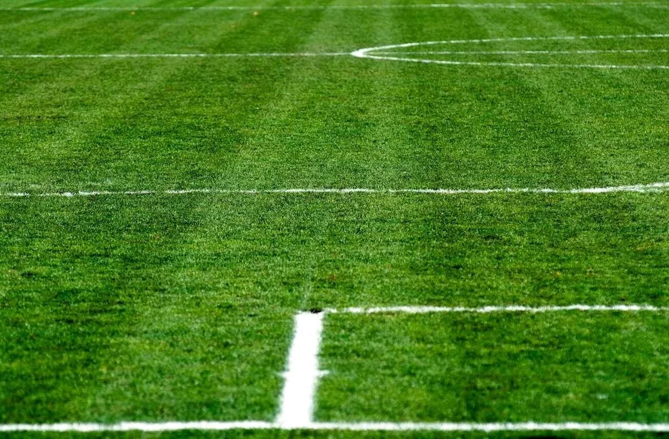 Close-up of a well-maintained soccer field