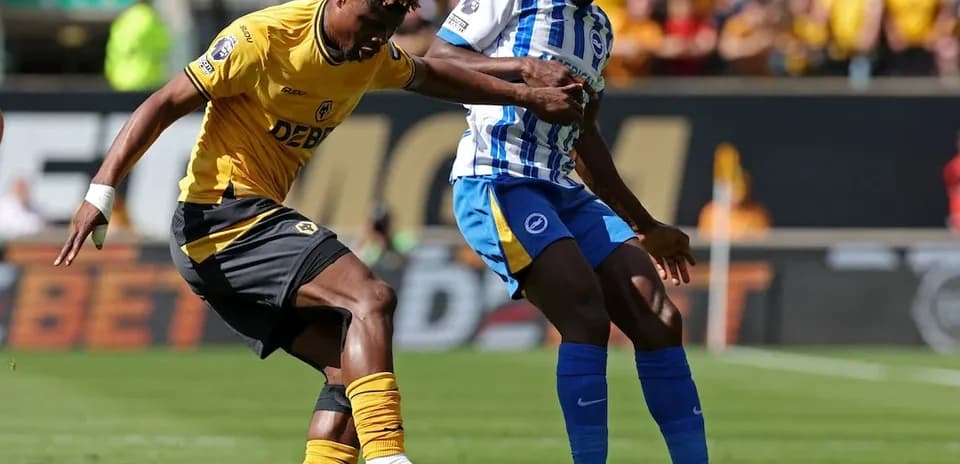 Brighton and Wolves players competing for the ball