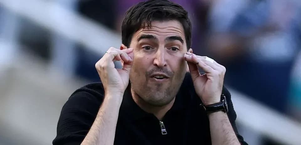 Coach giving instructions during a match