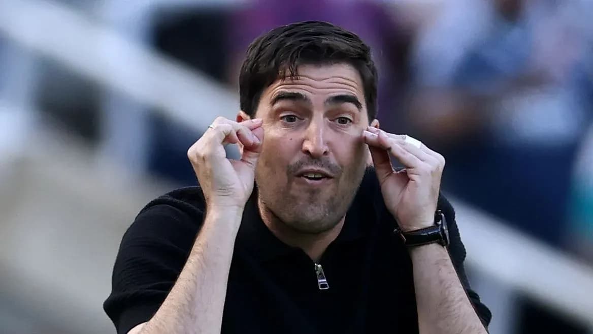Coach giving instructions during a match