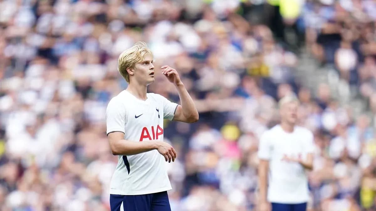 Player in Tottenham kit during match action Player in Tottenham kit during match action