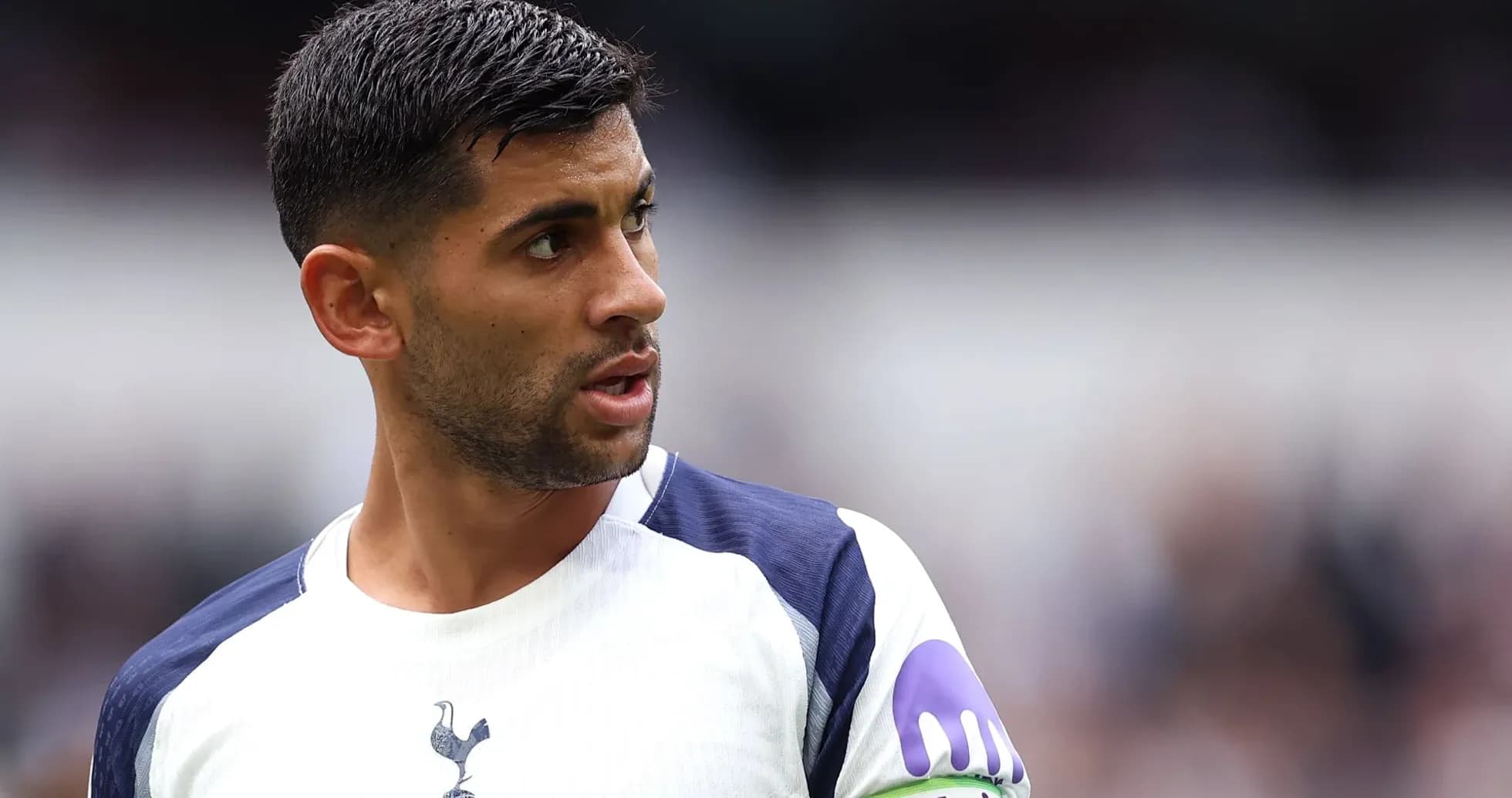 Player in Tottenham kit looking away during match Player in Tottenham kit looking away during match
