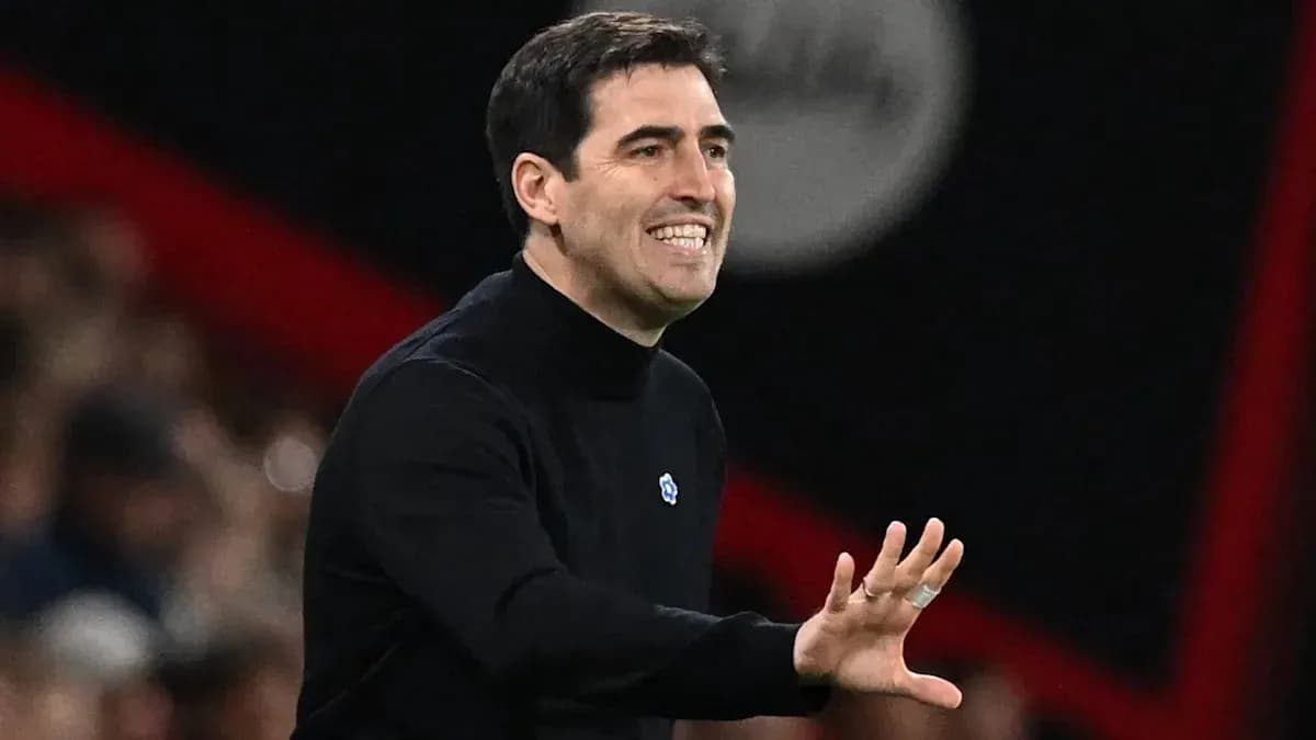 Coach gesturing during a football match Coach gesturing during a football match