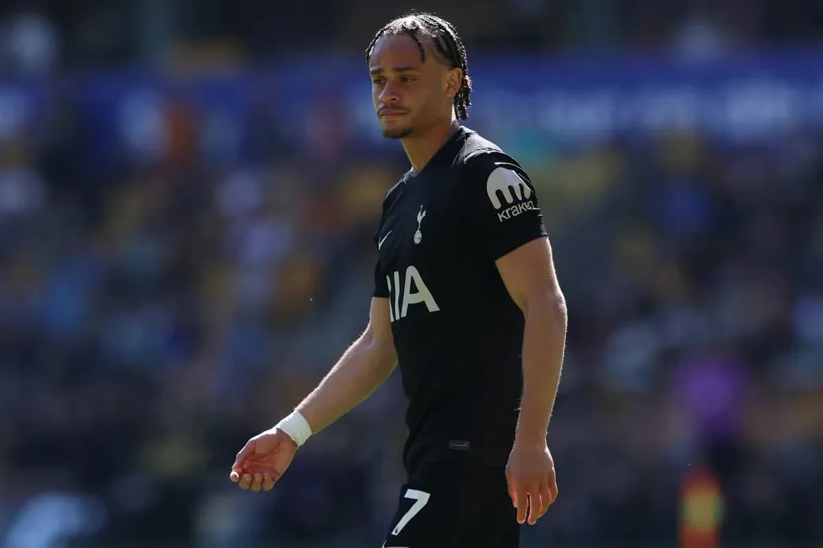 Player walking on pitch during match for Tottenham Player walking on pitch during match for Tottenham