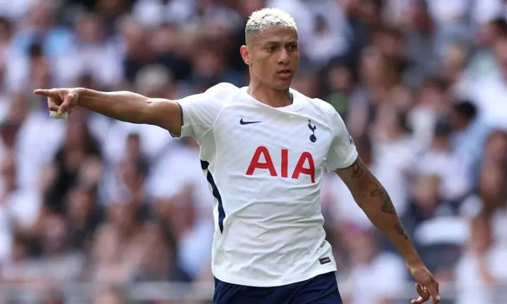 Player gesturing during Tottenham match on field Player gesturing during Tottenham match on field