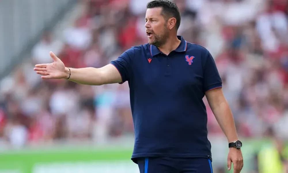 Manager gesturing from the sidelines during match Manager gesturing from the sidelines during match