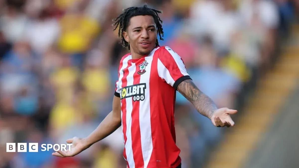 Player in Southampton kit gesturing during match Player in Southampton kit gesturing during match