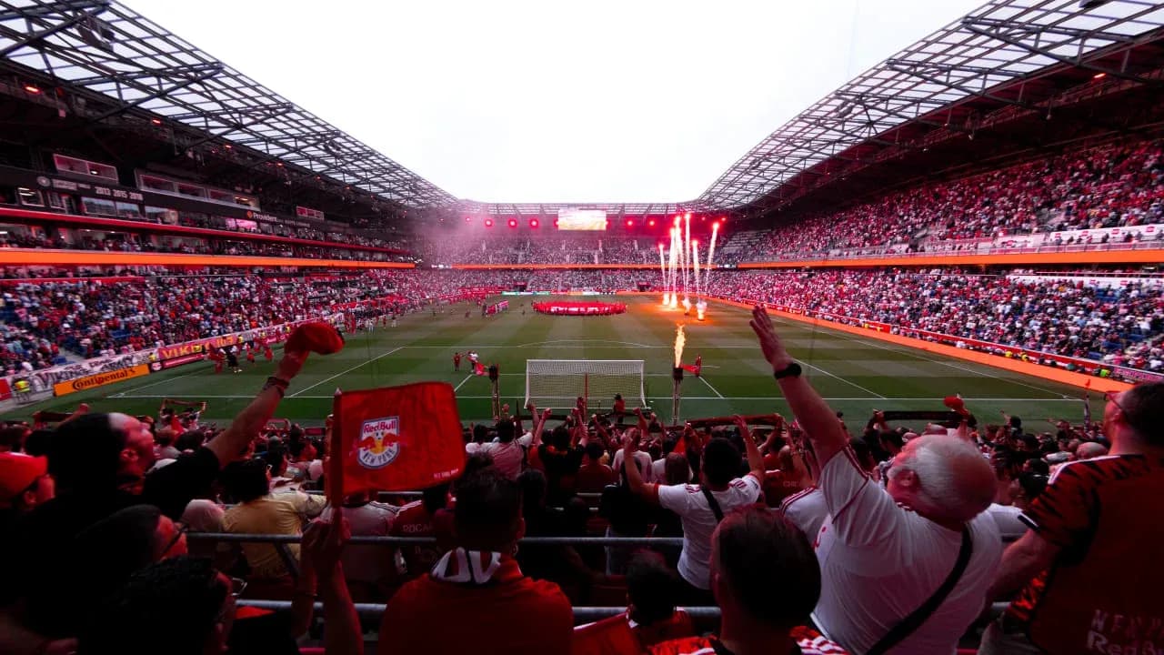 Fans celebrating at New York Red Bulls match Fans celebrating at New York Red Bulls match