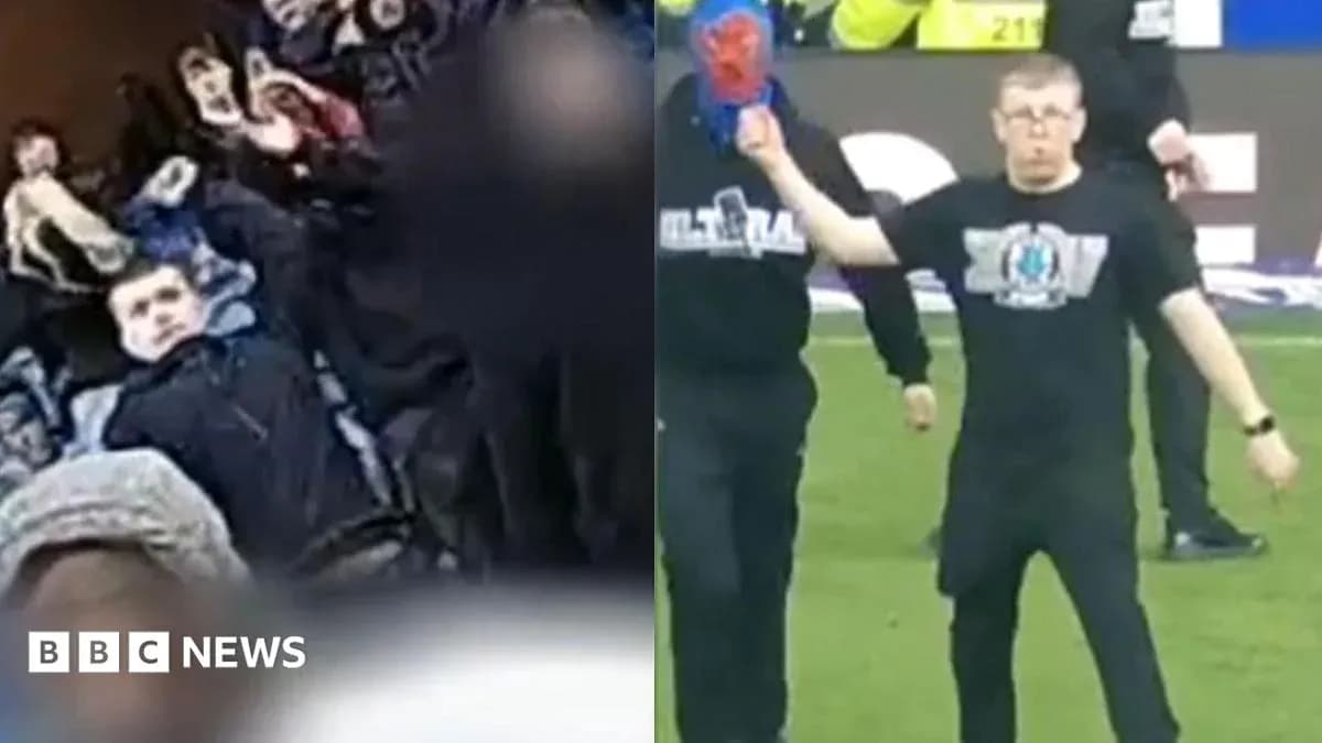 Crowd at a sporting event with a fan on field Crowd at a sporting event with a fan on field