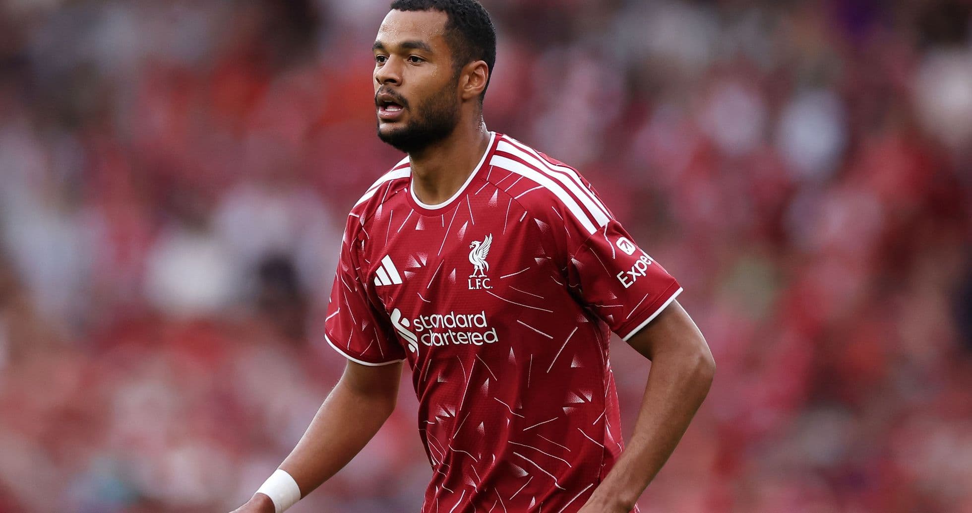 Iraola Hints at Possible Gakpo Departure as Liverpool Near Deal for Barcola Iraola Hints at Possible Gakpo Departure as Liverpool Near Deal for Barcola